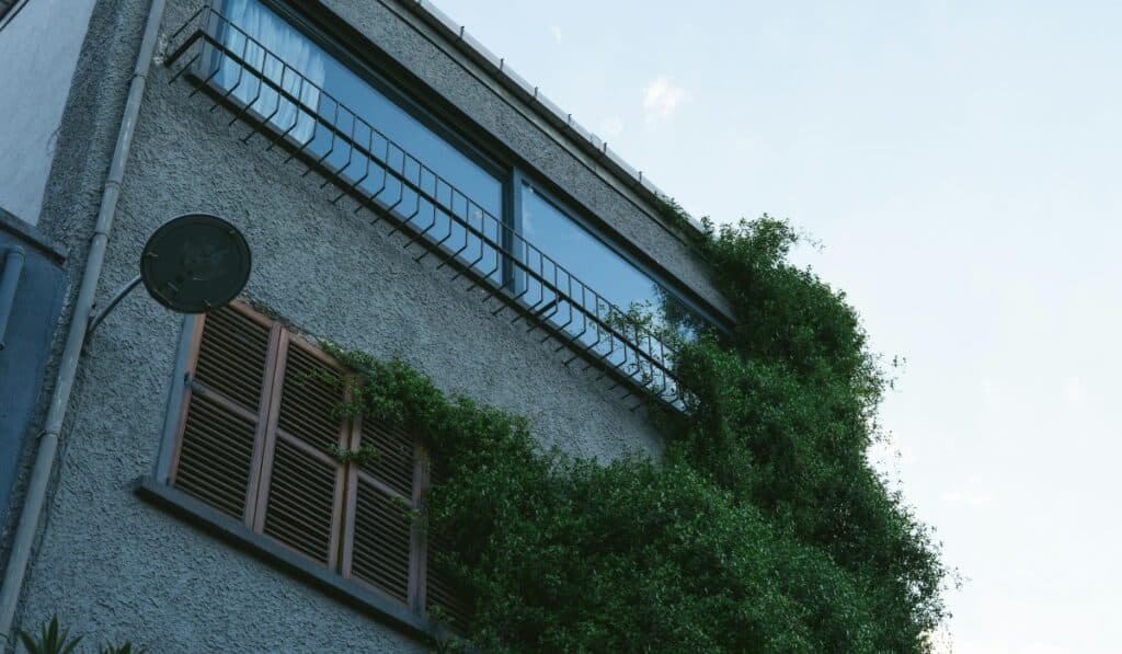 Satellite dish removal in Maidenhead