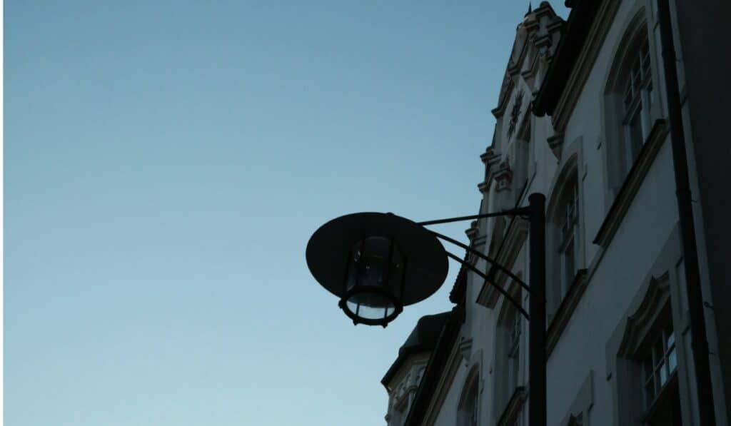 Satellite dish removal in Windsor
